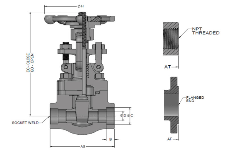 forged-501-standard-port-bolted-bonnet