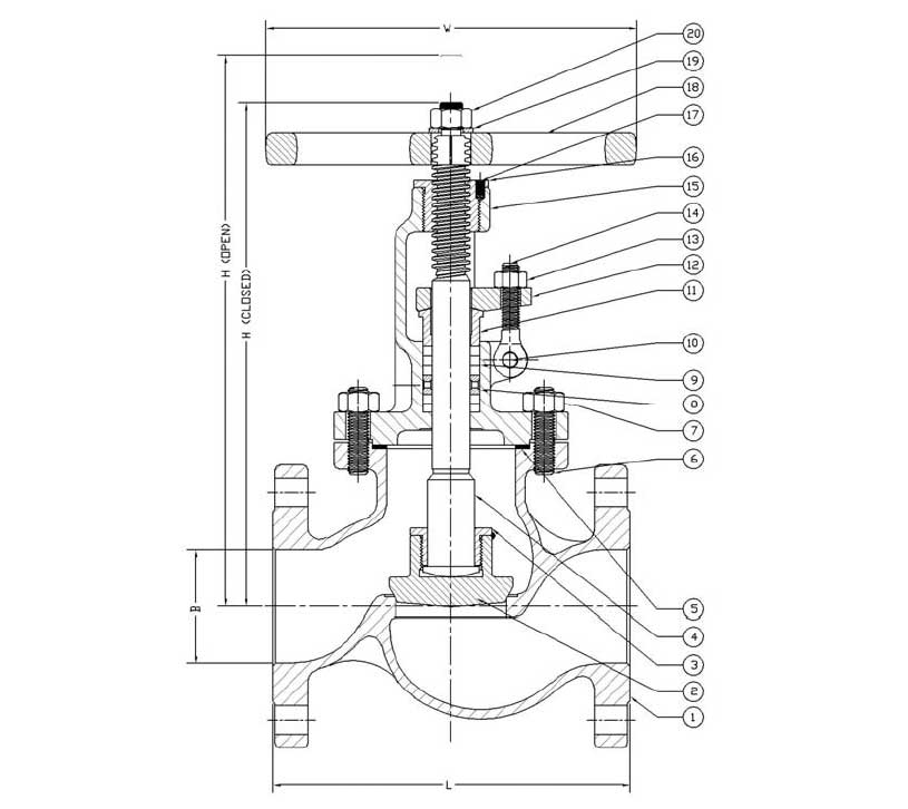 603-globe-valve-class-300