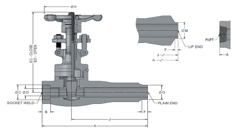 forged-reinforced-501